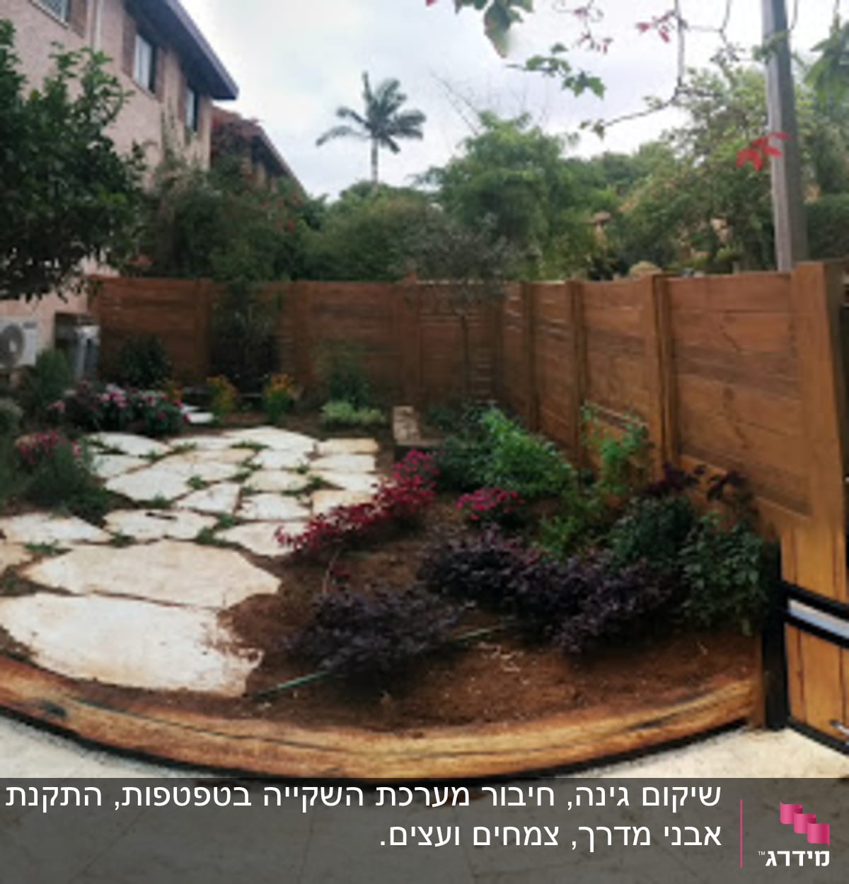 גינה קטנה בבית פרטי